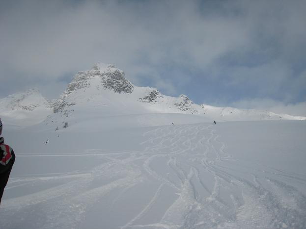 020208_tracks.JPG