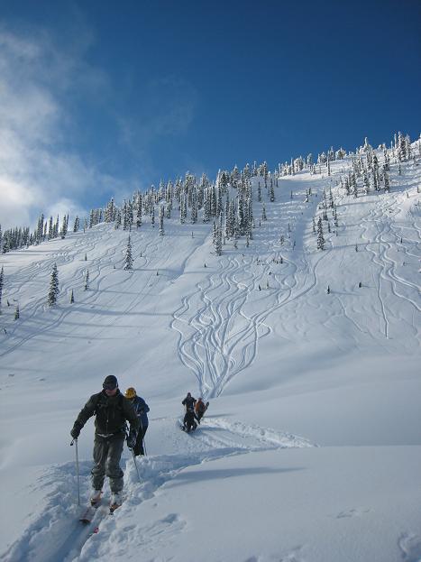 020308_subalpine.JPG