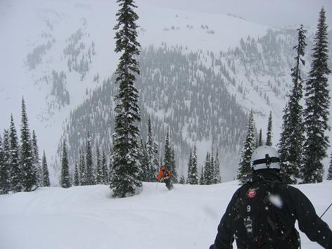 020907_lasttreerun.JPG