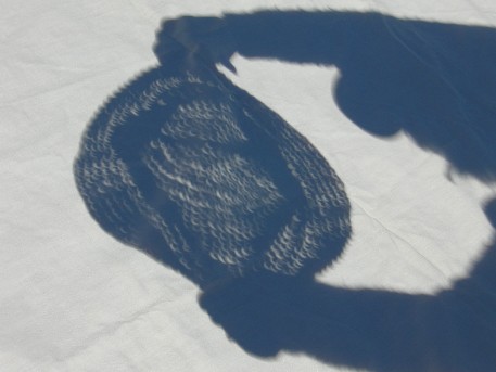 032906_crescents.jpg