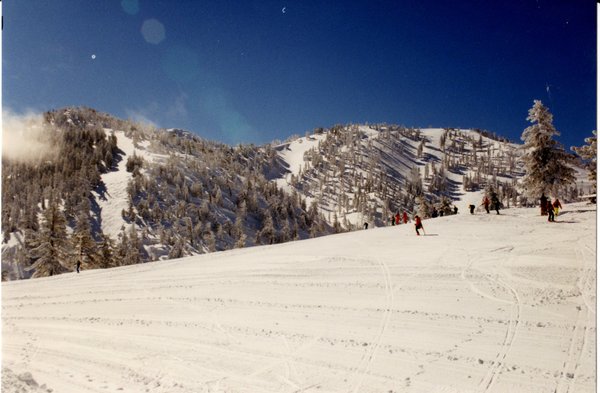 Baldy032191overview.jpg (1.1 MiB) Viewed 1530 times Baldy032191overview.jpg