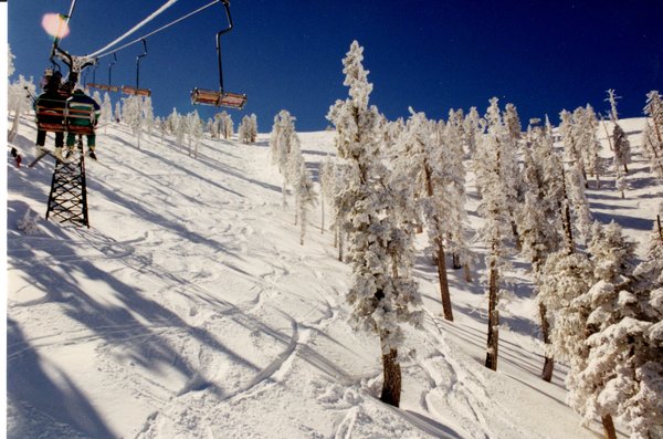 Baldy032191powder.jpg (1.2 MiB) Viewed 1530 times Baldy032191powder.jpg