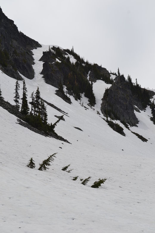 DSC_0806.JPG