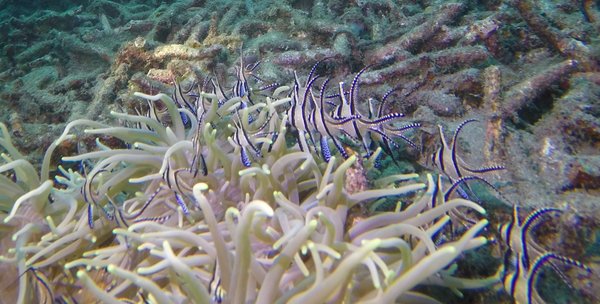 GOPR3074a.jpg