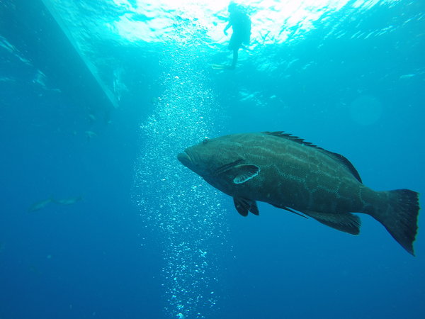 GOPR5745.JPG