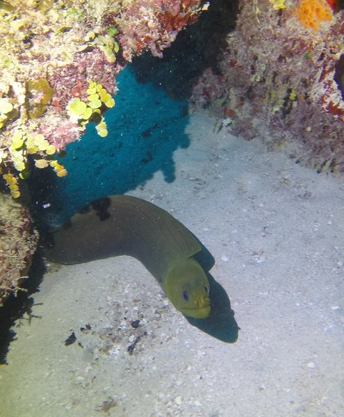 GOPR6227a.JPG