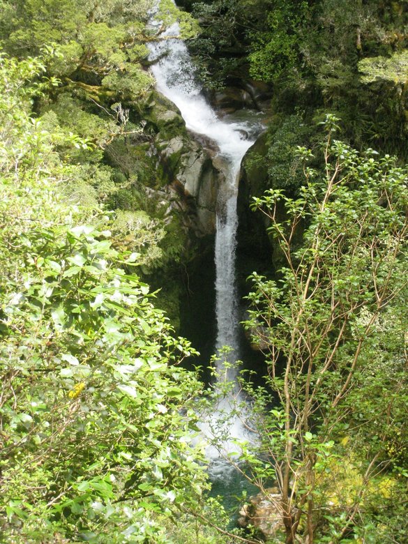 IMG_1565.JPG