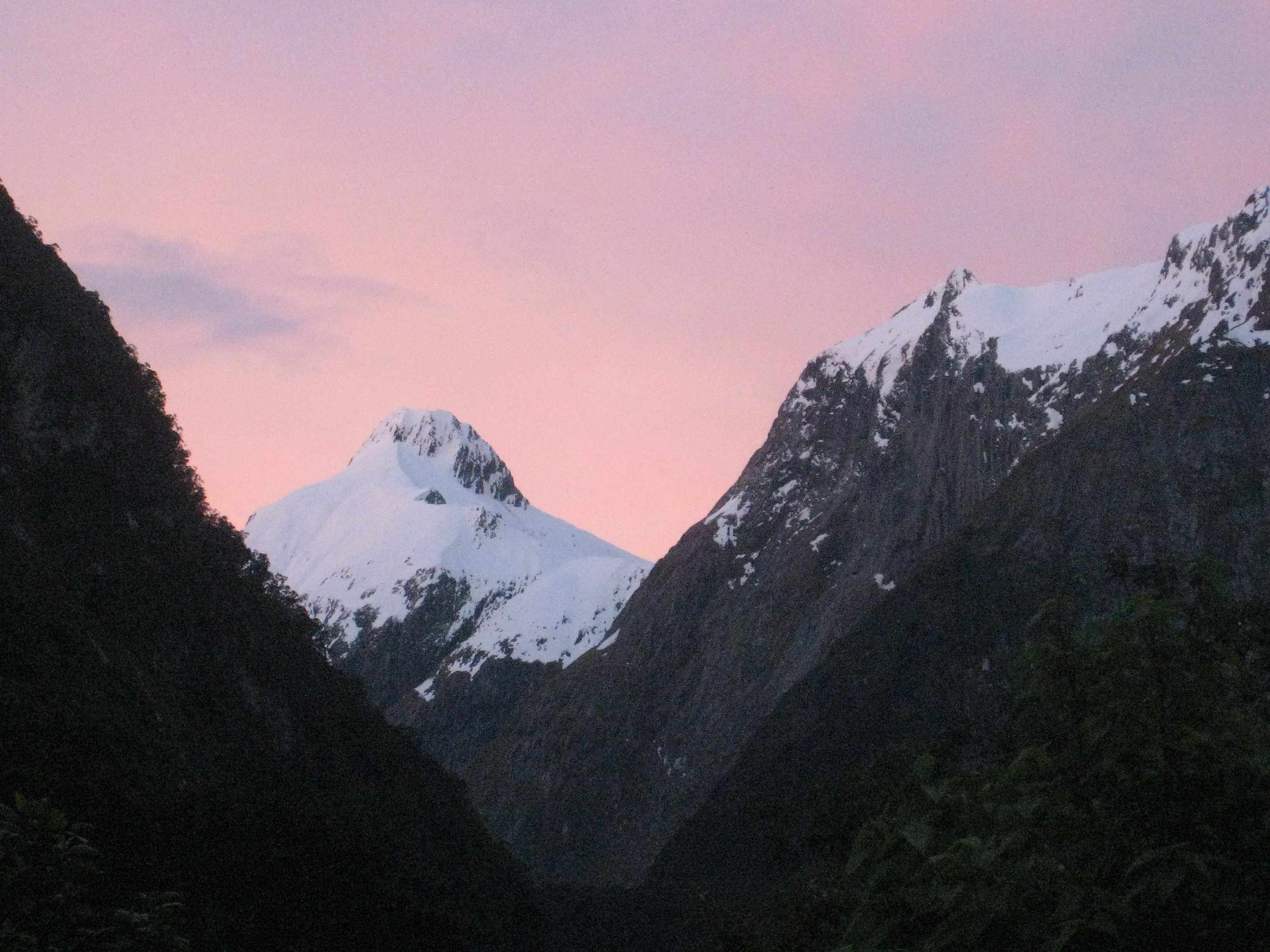IMG_1584.JPG