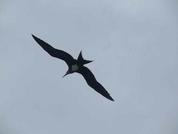 IMG_2515.JPG