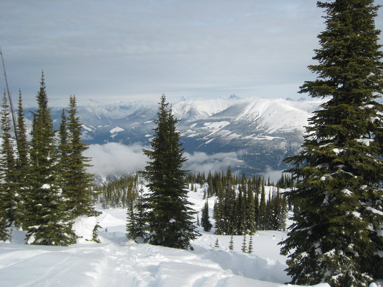 IMG_2600.JPG