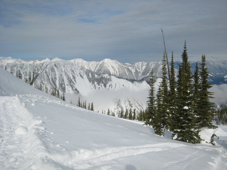 IMG_2601.JPG