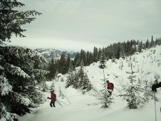 IMG_4174.JPG