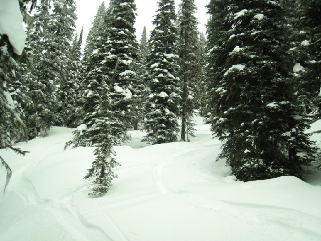 IMG_4195.JPG