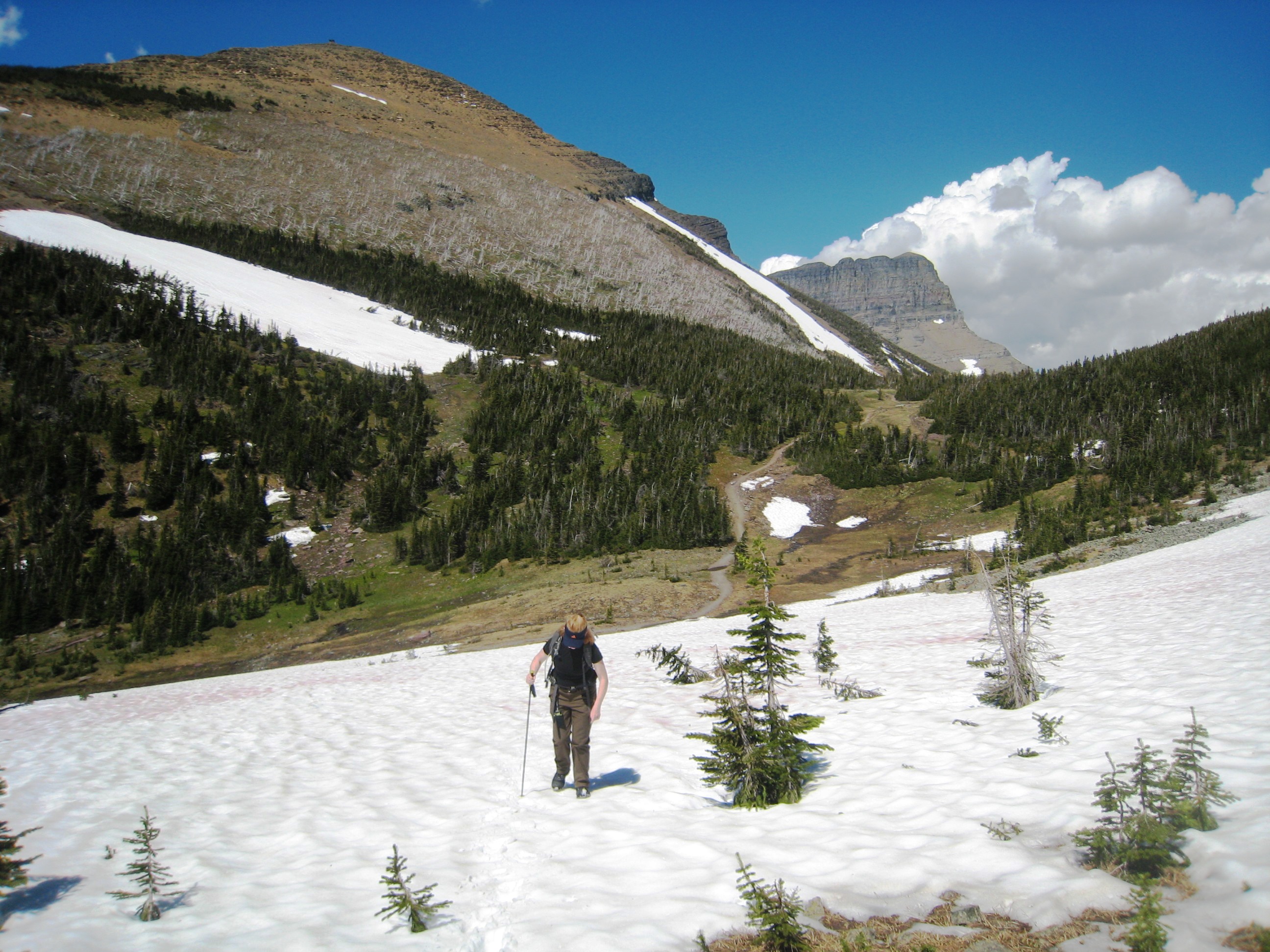 IMG_4332.JPG