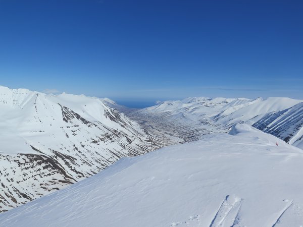 IMG_4963.JPG
