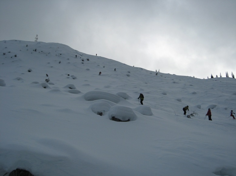 IMG_5538.JPG