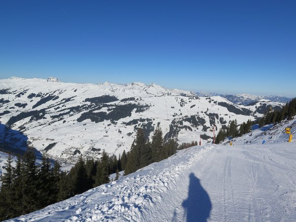 IMG_8091.JPG