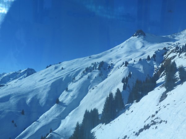 IMG_8101.JPG