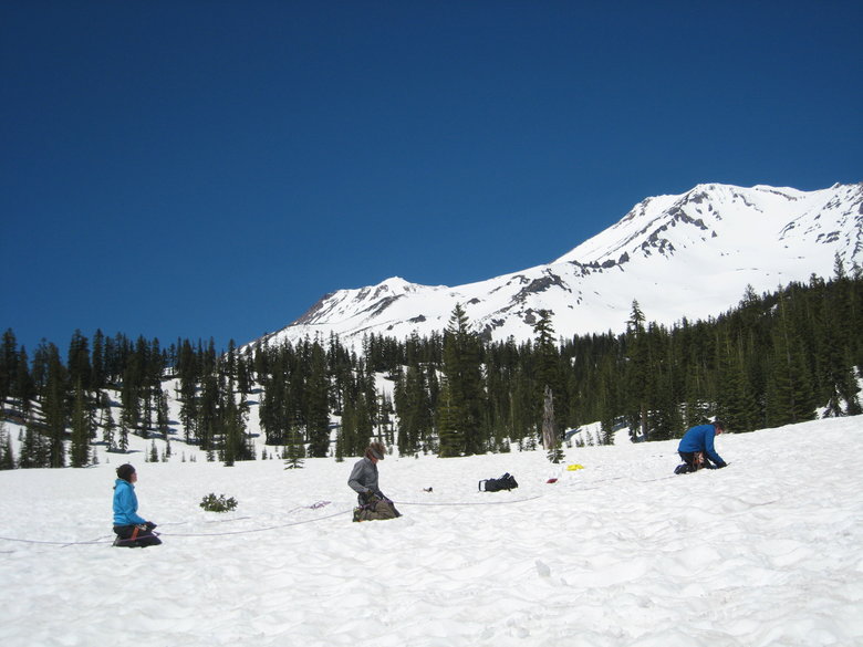 IMG_9432.JPG