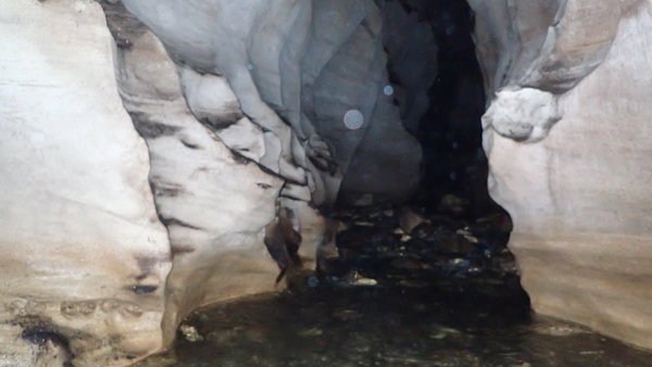 P7271544.JPG