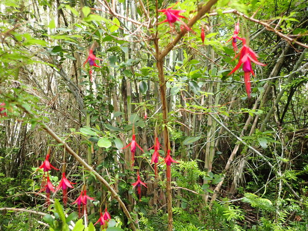 PC272871.JPG